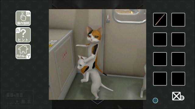 从猫的车窗逃出去